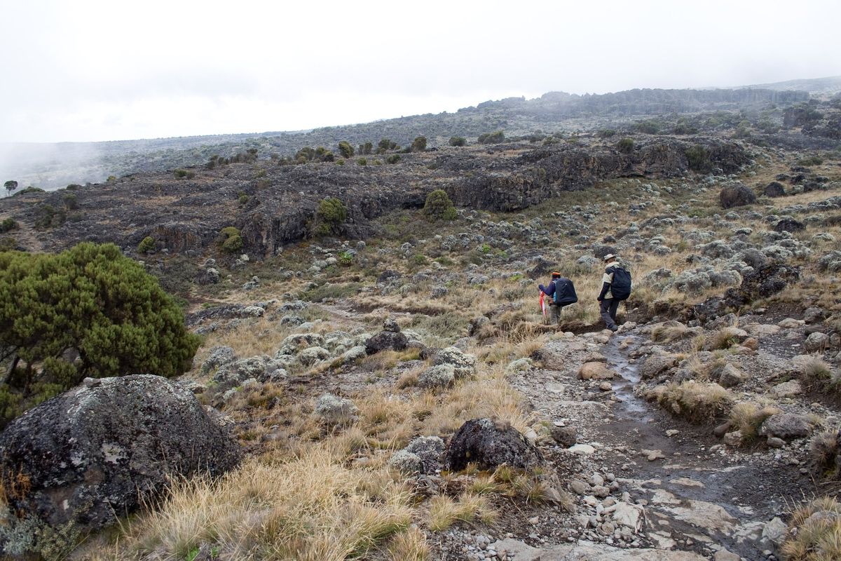 Trekkers crossing the Shira Plateau