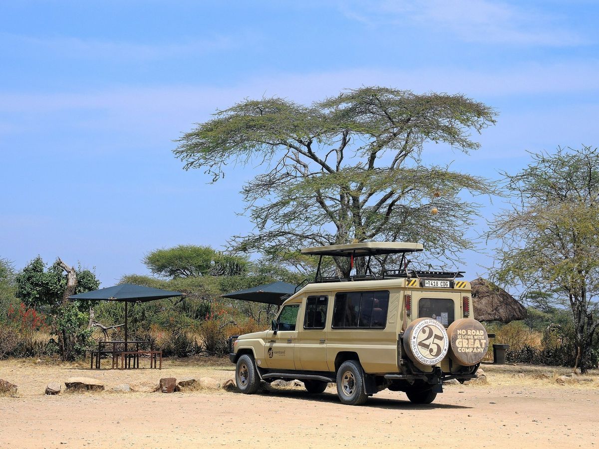 A safari vehicle parked beneath an acacia tree in the Serengeti