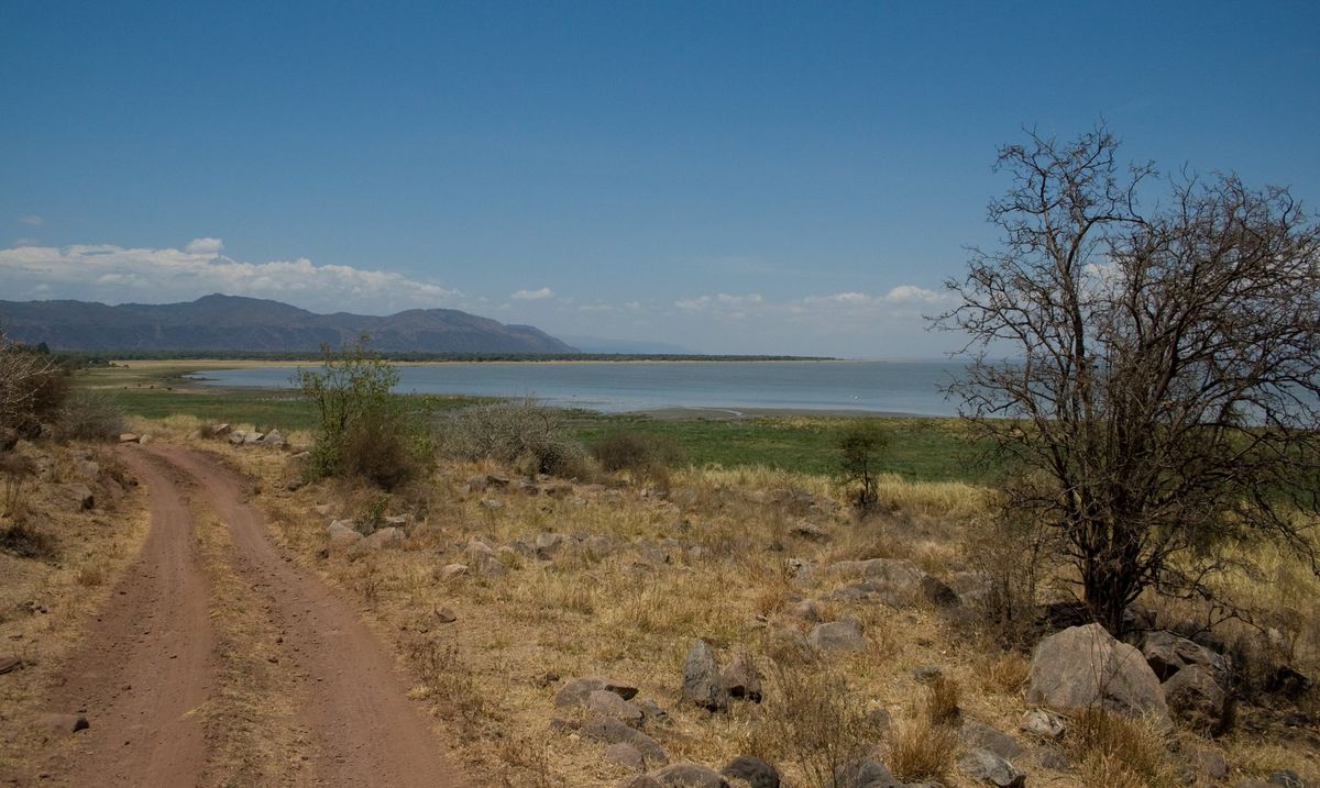 A dirt track leading towards Lake Manyara