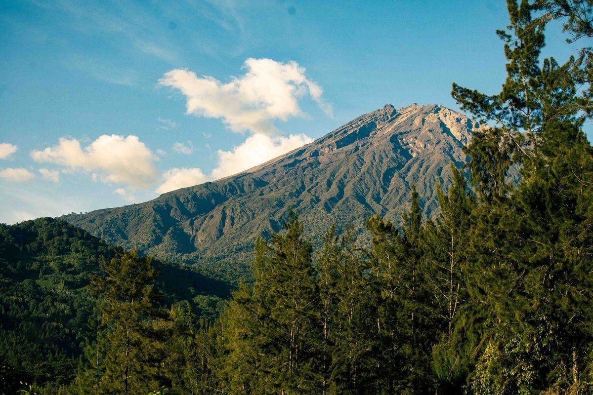 Mount Meru rising above green forest near Arusha