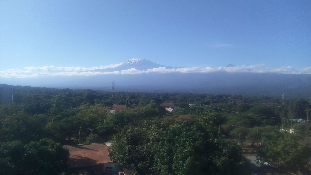The snow-capped summit of Mount Kilimanjaro rising above forest and cloud