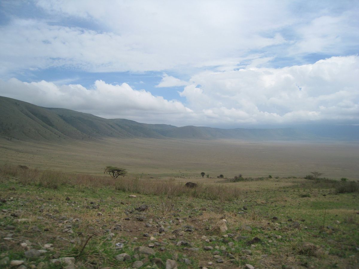 The Ngorongoro Crater seen from the rim