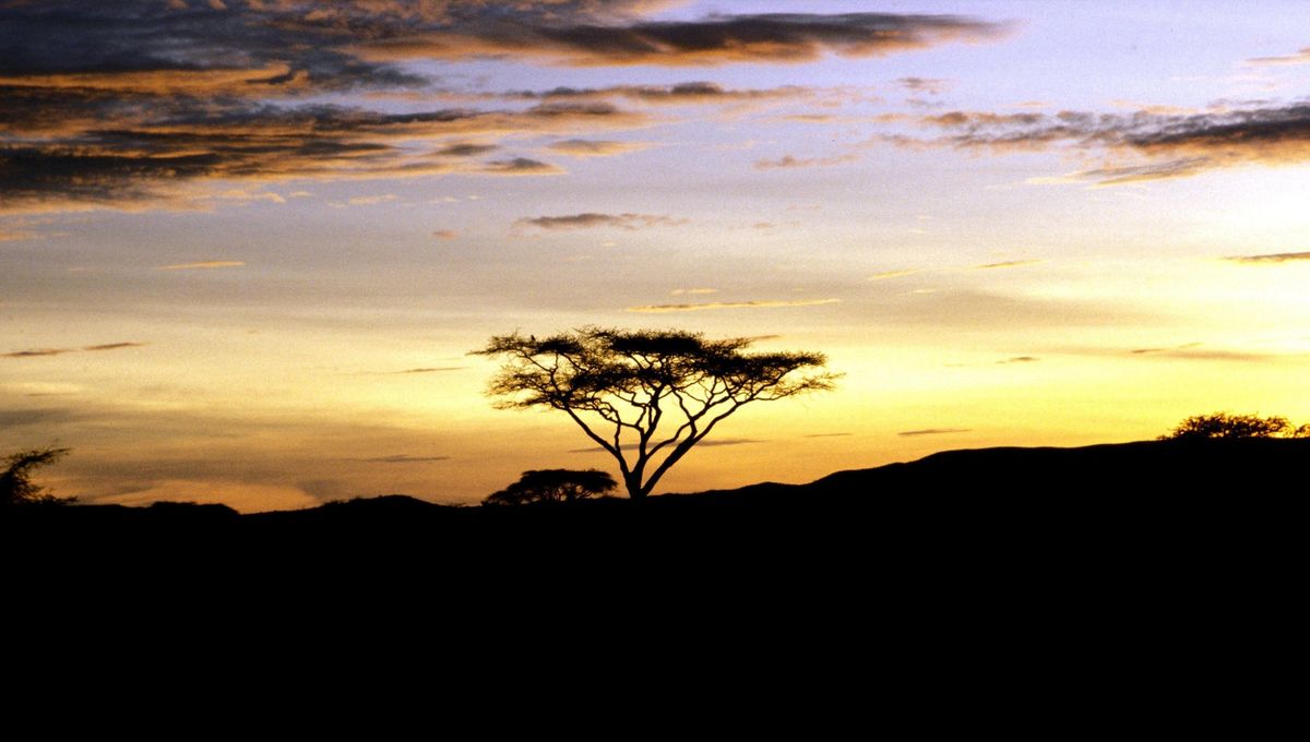 Sunset over the Serengeti